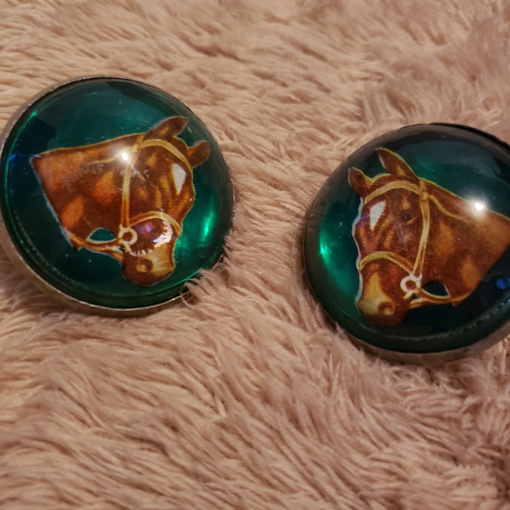 Bridle rosettes
